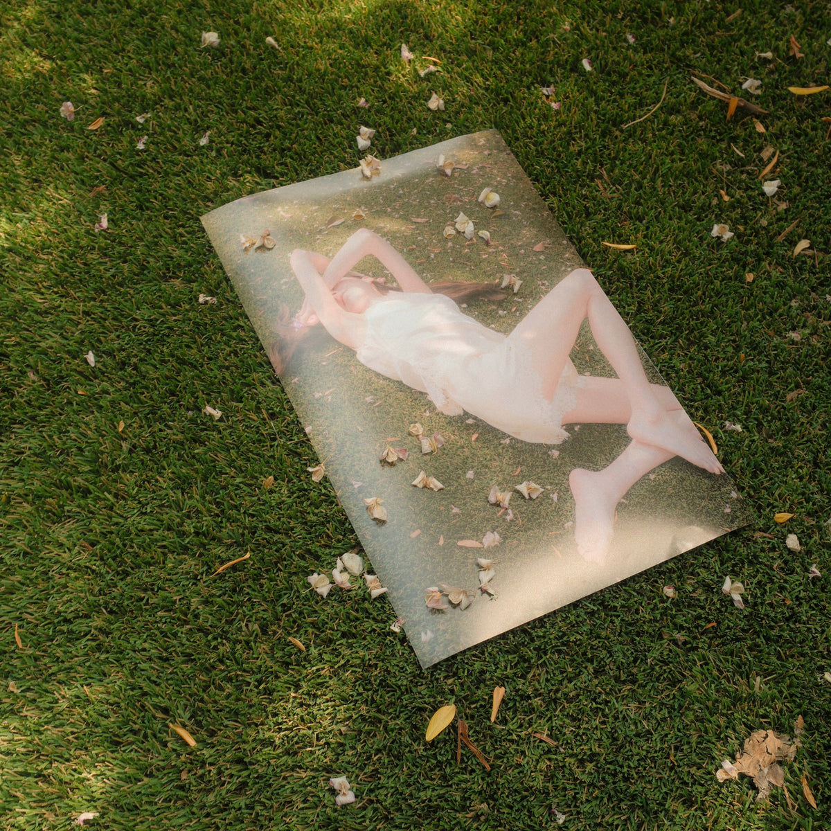 Linger Fine Art Print