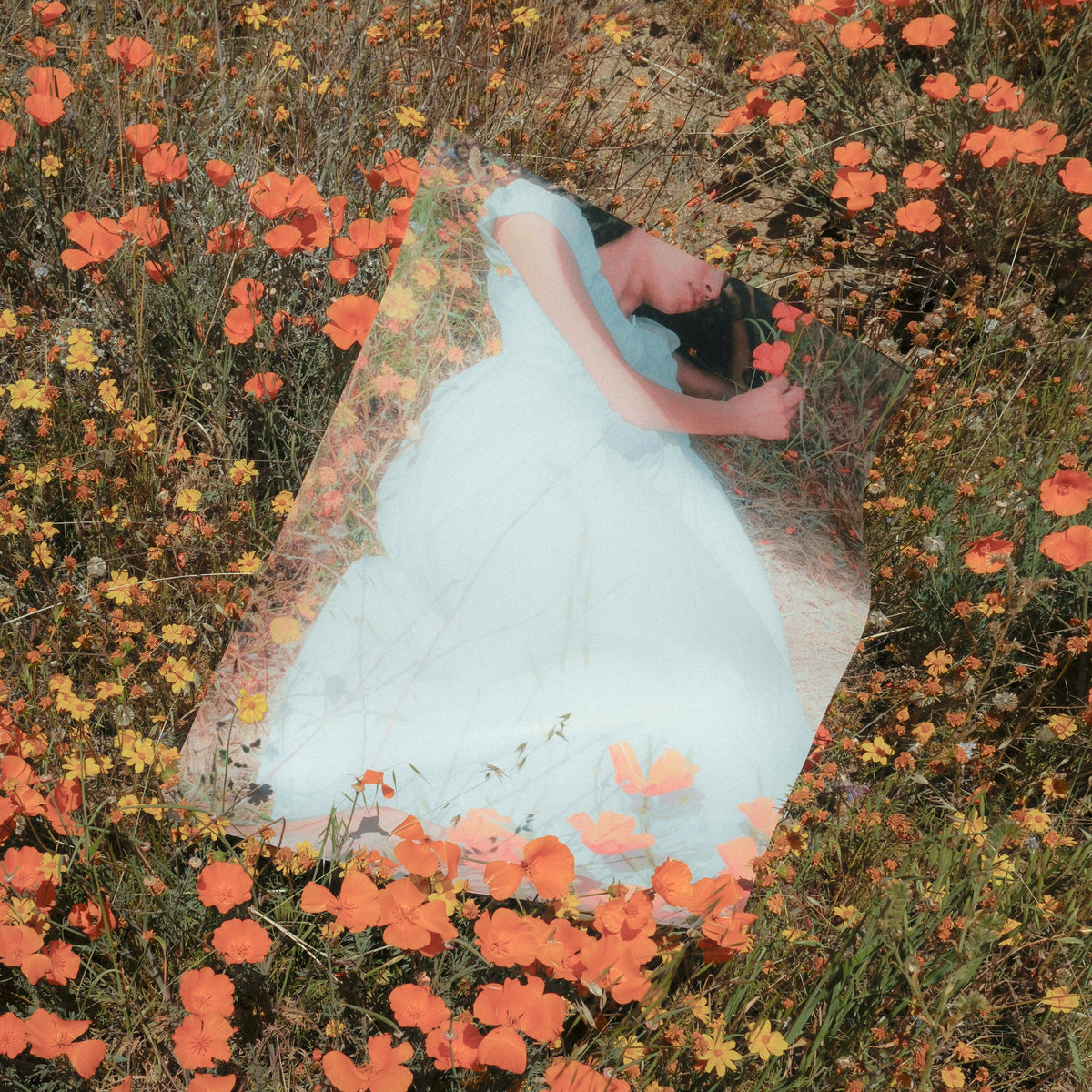 Reverie Fine Art Print