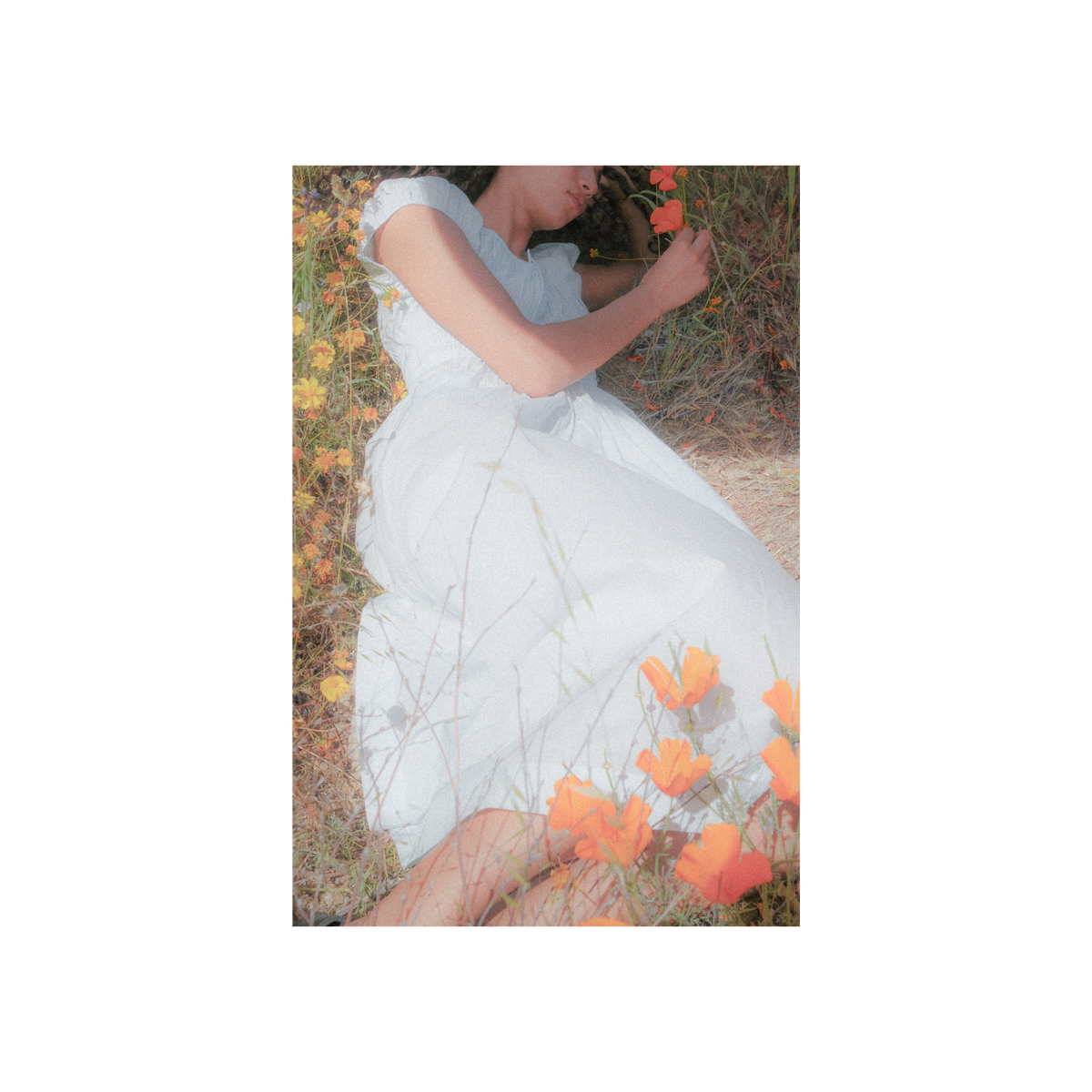 Reverie Fine Art Print