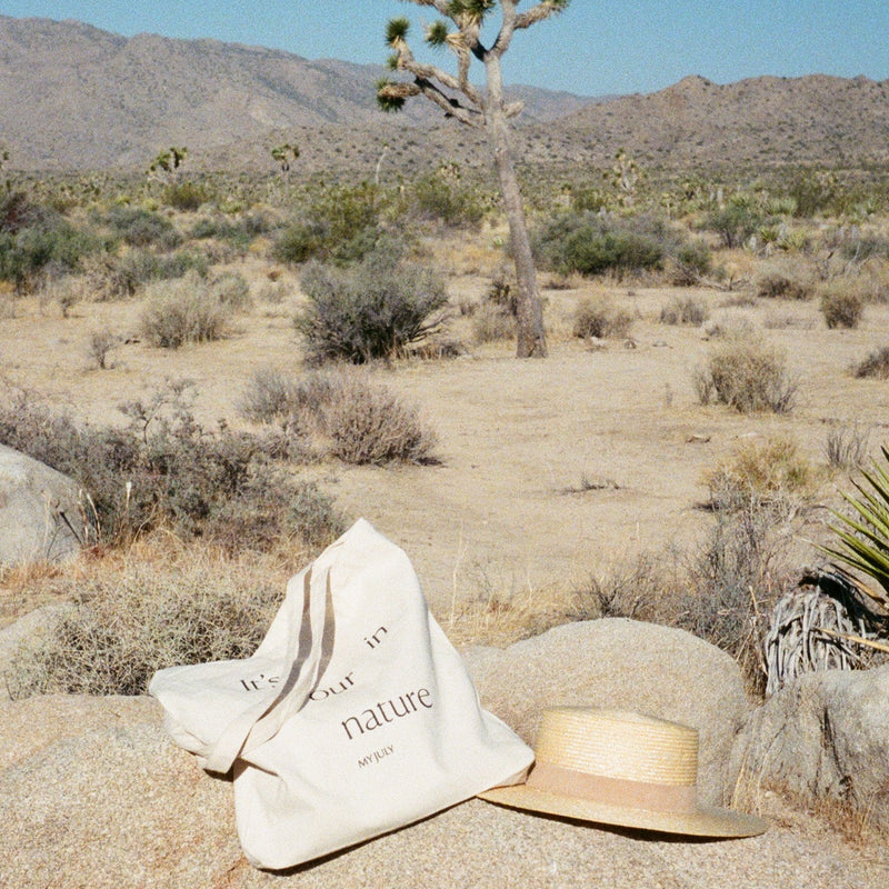 Palm Springs Travel Guide