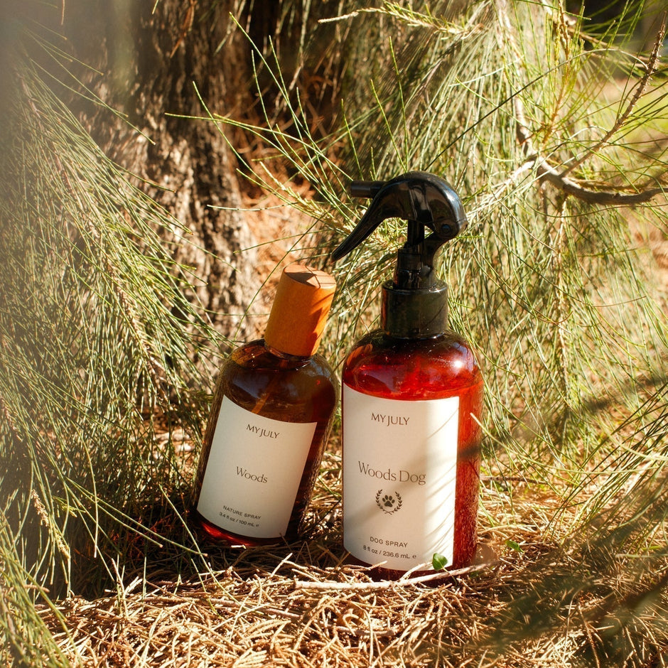 Ticks Don’t Take a Winter Break